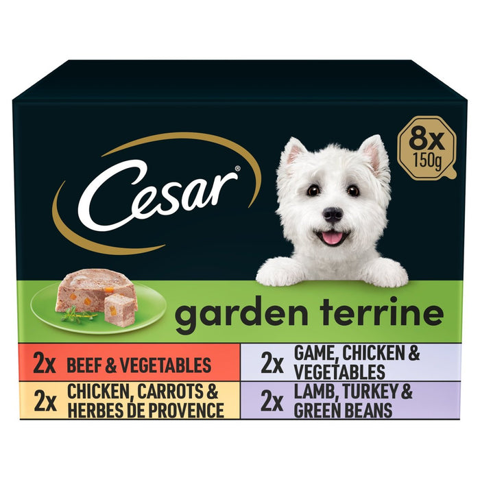 Bandeja de comida para perros de César Garden Terrine mezclado en pan 8 x 150g
